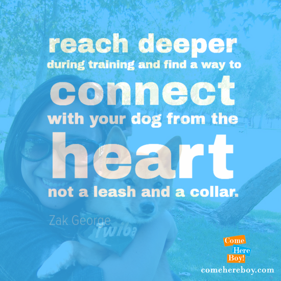 Reach deeper during training and find a way to connect with your dog from the heart, not a leash and a collar