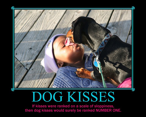 dog kisses photo