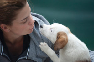 A dog alerting to anxiety