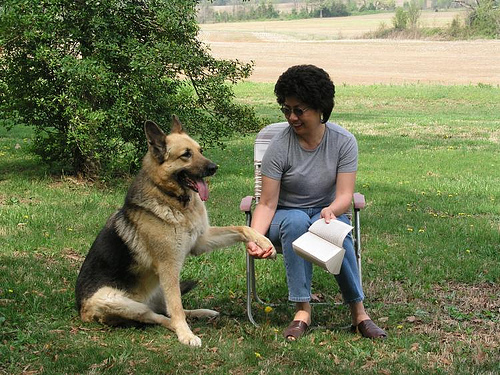 german shepherd temperament test for therapy work